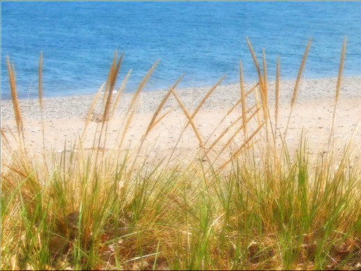 40064 (a): :1600x1200